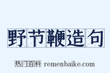 野节鞭造句是什么意思的图片